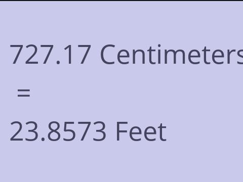 727.17 CM TO FEET