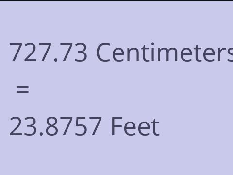 727.73 CM TO FEET