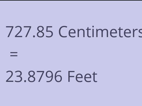 727.85 CM TO FEET