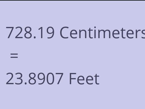 728.19 CM TO FEET