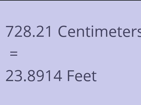 728.21 CM TO FEET