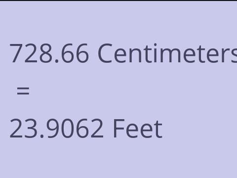 728.66 CM TO FEET