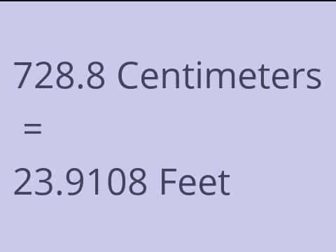 728.8 CM TO FEET