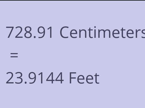 728.91 CM TO FEET