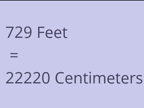 729 FEET TO CM