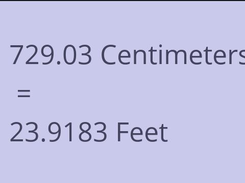 729.03 CM TO FEET