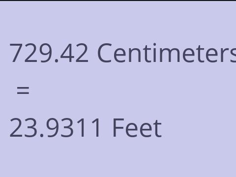 729.42 CM TO FEET