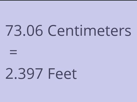 73.06 CM TO FEET