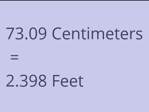 73.09 CM TO FEET