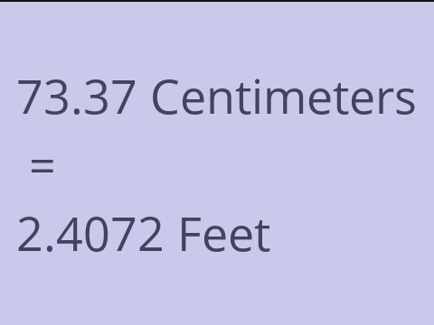 73.37 CM TO FEET