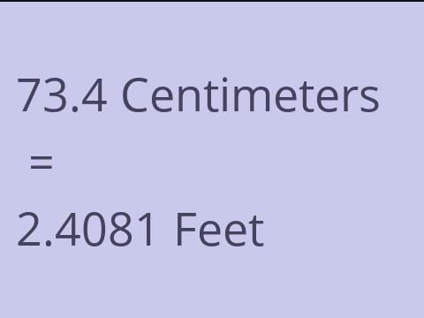 73.4 CM TO FEET