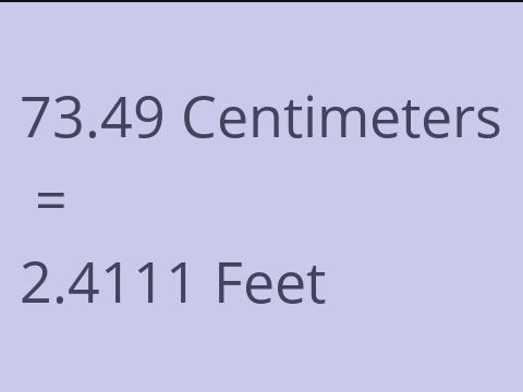 73.49 CM TO FEET