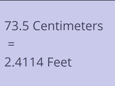 73.5 CM TO FEET