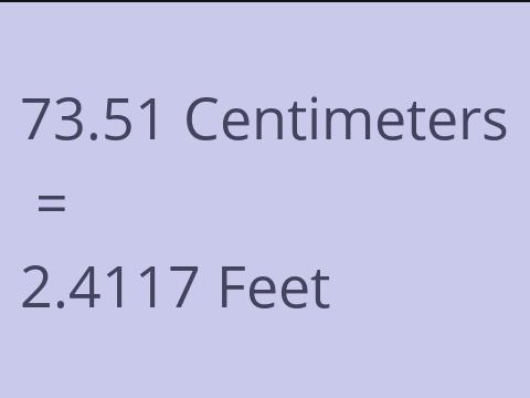 73.51 CM TO FEET