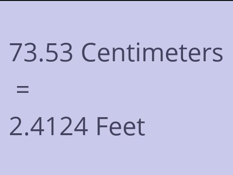 73.53 CM TO FEET