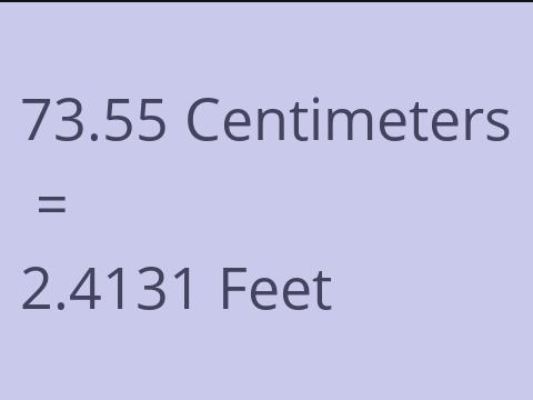 73.55 CM TO FEET