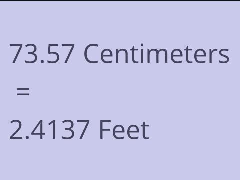 73.57 CM TO FEET