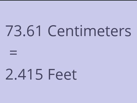 73.61 CM TO FEET