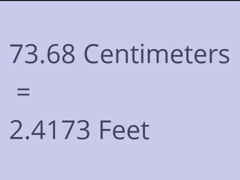 73.68 CM TO FEET