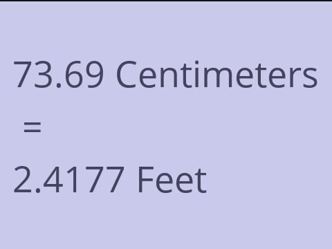 73.69 CM TO FEET