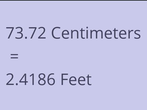 73.72 CM TO FEET