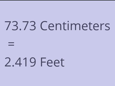 73.73 CM TO FEET