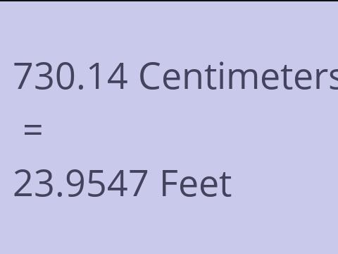 730.14 CM TO FEET