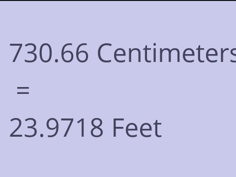 730.66 CM TO FEET