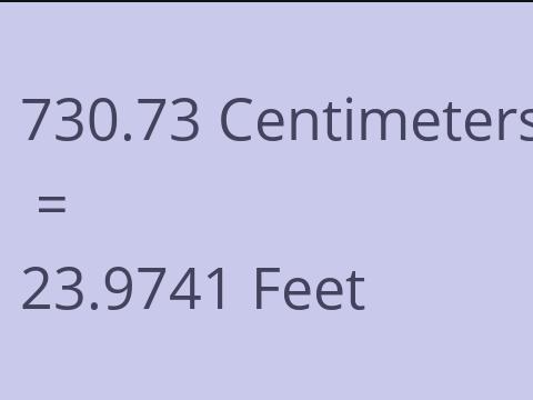 730.73 CM TO FEET