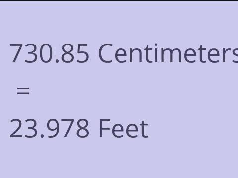 730.85 CM TO FEET