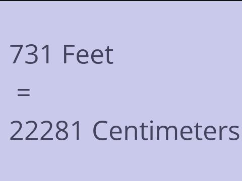 731 FEET TO CM