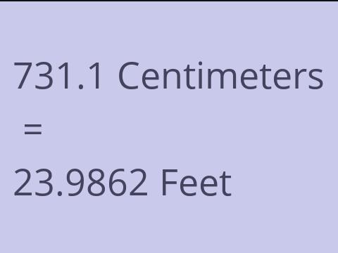 731.1 CM TO FEET