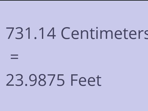 731.14 CM TO FEET