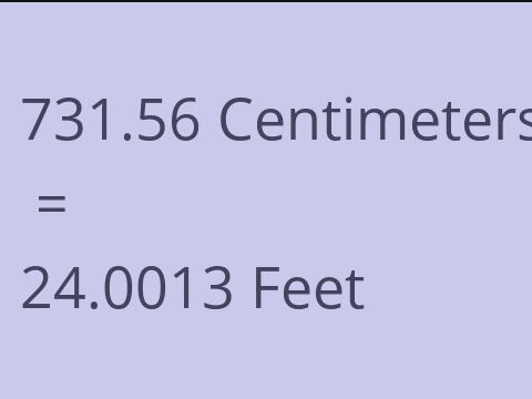 731.56 CM TO FEET