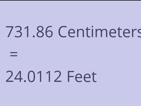 731.86 CM TO FEET