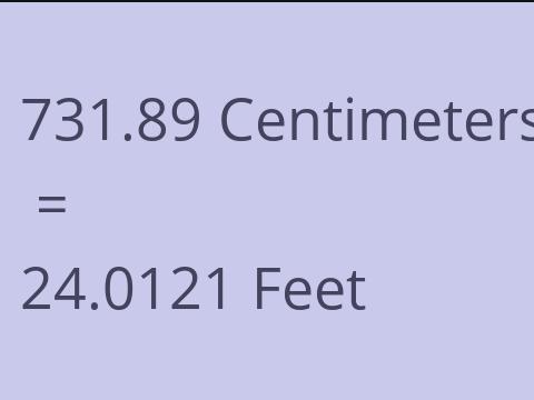 731.89 CM TO FEET