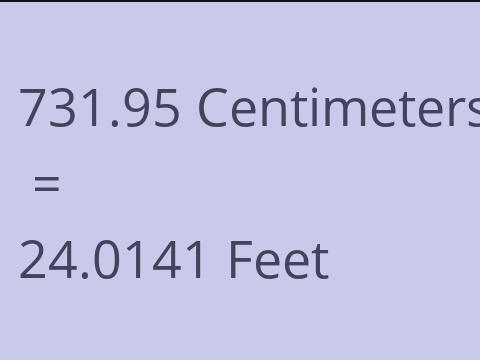 731.95 CM TO FEET