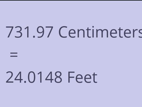 731.97 CM TO FEET