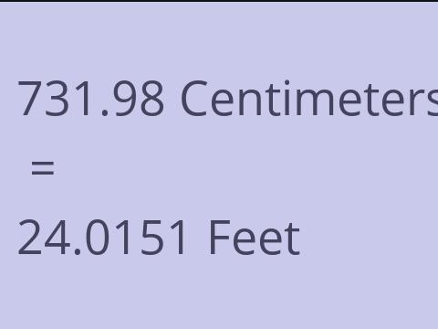 731.98 CM TO FEET