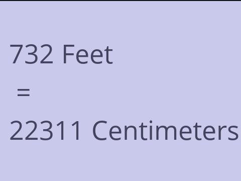 732 FEET TO CM