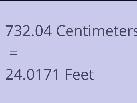 732.04 CM TO FEET