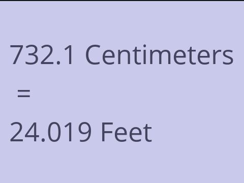 732.1 CM TO FEET