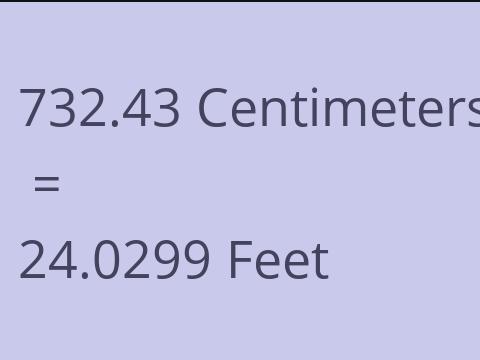 732.43 CM TO FEET