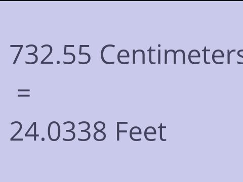 732.55 CM TO FEET