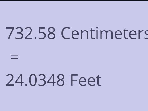 732.58 CM TO FEET