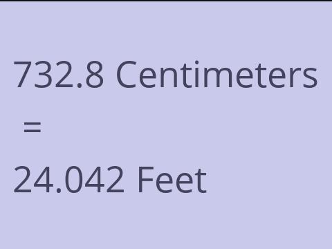 732.8 CM TO FEET