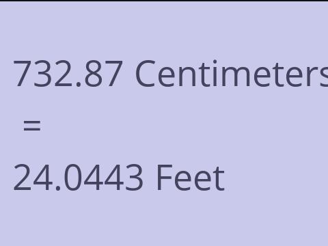 732.87 CM TO FEET