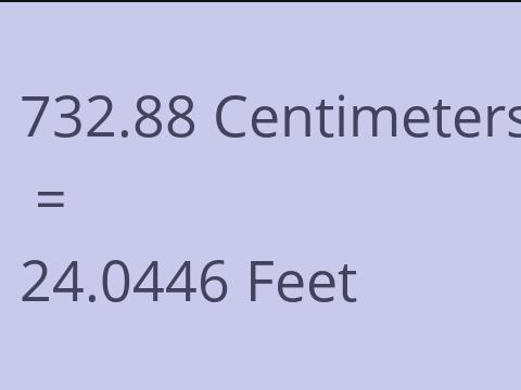 732.88 CM TO FEET