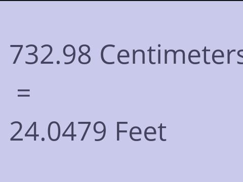 732.98 CM TO FEET