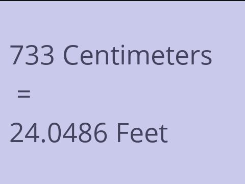 733 CM TO FEET